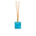 PARISIAN GARDEN ambientador mikado 95 ml