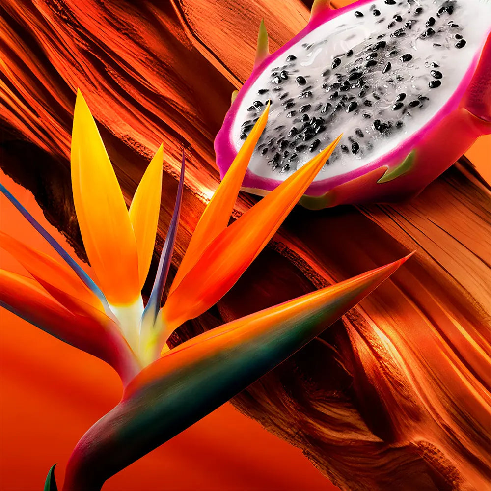 ESCADA-BALI PARADISE edt vaporizador 30 ml.-DrShampoo - Perfumaria e Cosmética