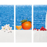 ESCADA-SANTORINI SUNRISE edição limitada edição limitada 50 ml-DrShampoo - Perfumaria e Cosmética