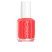 NAIL COLOR 858 artesanal com 135 ml