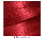 GARNIER-NUTRISSE 660 rouge vibrante 1 unidade-DrShampoo - Perfumaria e Cosmética