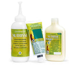 GARNIER-NUTRISSE 73 assado com mel 1 un-DrShampoo - Perfumaria e Cosmética
