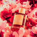 GISADA-AMBASSADOR WOMAN ESTUCHE 2 pz.-DrShampoo - Perfumaria e Cosmética