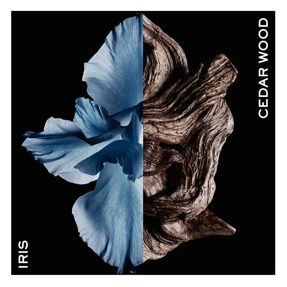 GIVENCHY-GENTLEMAN edt intense spray 60 ml-DrShampoo - Perfumaria e Cosmética