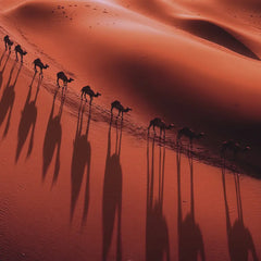 GUERLAIN-ABSOLUS ALLEGORIA TABAC SAHARA eau de parfum spray 75 ml-DrShampoo - Perfumaria e Cosmética