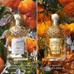 GUERLAIN-AQUA ALLEGORIA MANDARINA BASILIC spray de eau de parfum 125 ml.-DrShampoo - Perfumaria e Cosmética