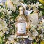 GUERLAIN-AQUA ALLEGORIA PEAR GRANITA edt vapo 125 ml-DrShampoo - Perfumaria e Cosmética