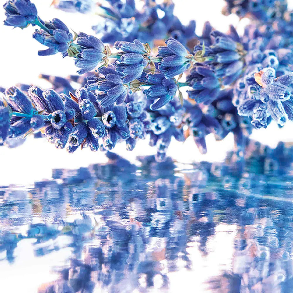 GUERLAIN-MON GUERLAIN CONJUNTO 3 pcs.-DrShampoo - Perfumaria e Cosmética