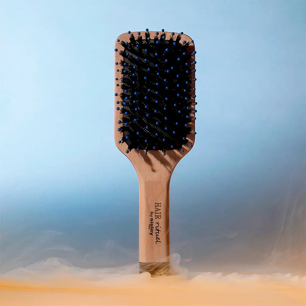 HAIR RITUEL BY SISLEY-HAIR RITUEL a escova de bolso 1 unidade.-DrShampoo - Perfumaria e Cosmética