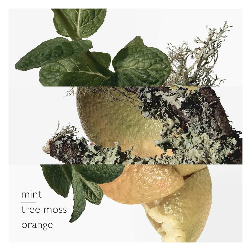 HERMÈS-EAU D'ORANGE VERTE edc spray 100 ml-DrShampoo - Perfumaria e Cosmética