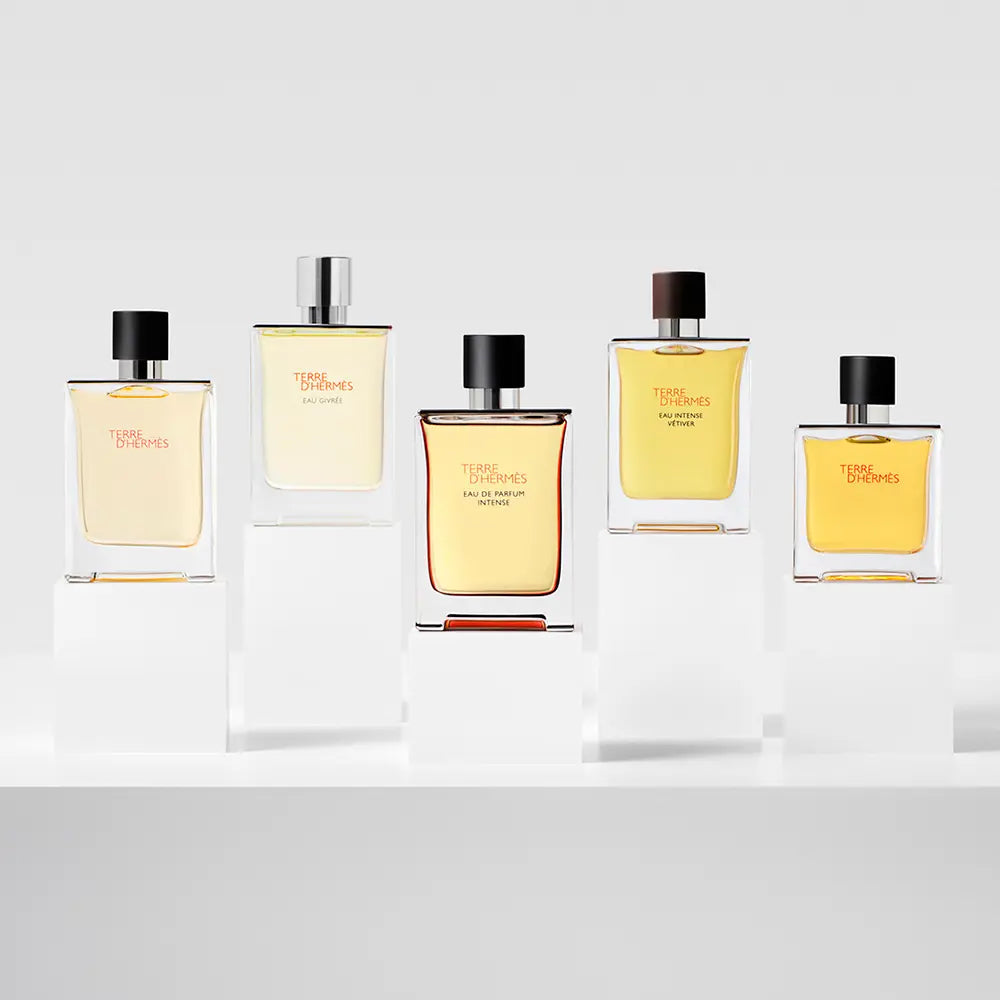 HERMÈS-REFIL DE PERFUME INTENSO TERRE D39HERMeS EDP 200 ML.-DrShampoo - Perfumaria e Cosmética