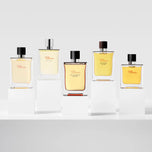 HERMÈS-REFIL DE PERFUME INTENSO TERRE D39HERMeS EDP 200 ML.-DrShampoo - Perfumaria e Cosmética