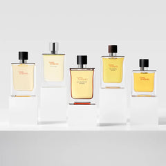 HERMÈS-REFIL DE PERFUME INTENSO TERRE D39HERMeS EDP 200 ML.-DrShampoo - Perfumaria e Cosmética