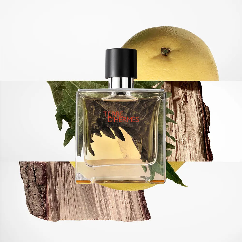 HERMÈS-TERRA DE HERMÈS spray de perfume 75 ml-DrShampoo - Perfumaria e Cosmética