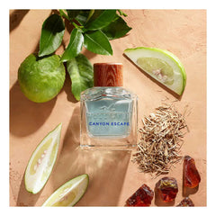 HOLLISTER-CANYON ESCAPE para ele edt spray 50 ml-DrShampoo - Perfumaria e Cosmética