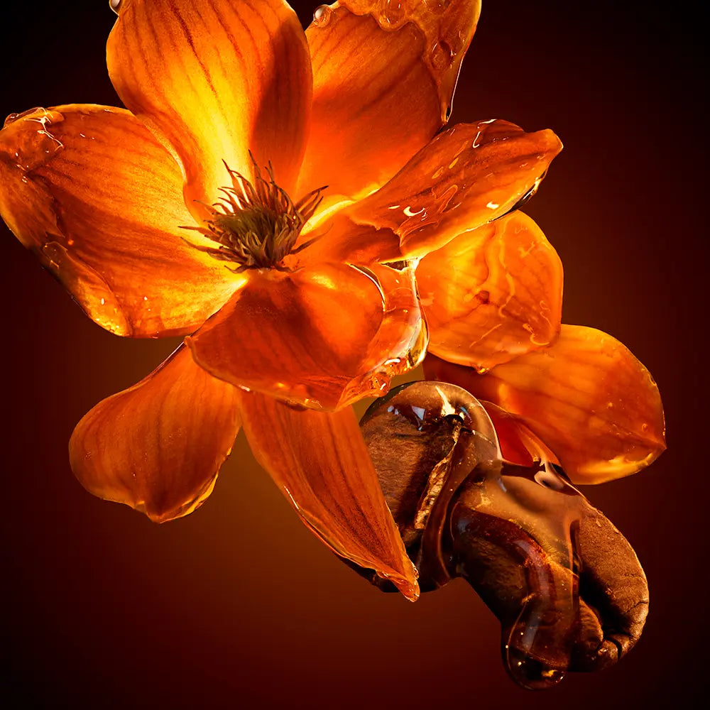 HUGO BOSS-BOSS-THE SCENT FOR HER INTENSE eau de parfum spray 50 ml-DrShampoo - Perfumaria e Cosmética