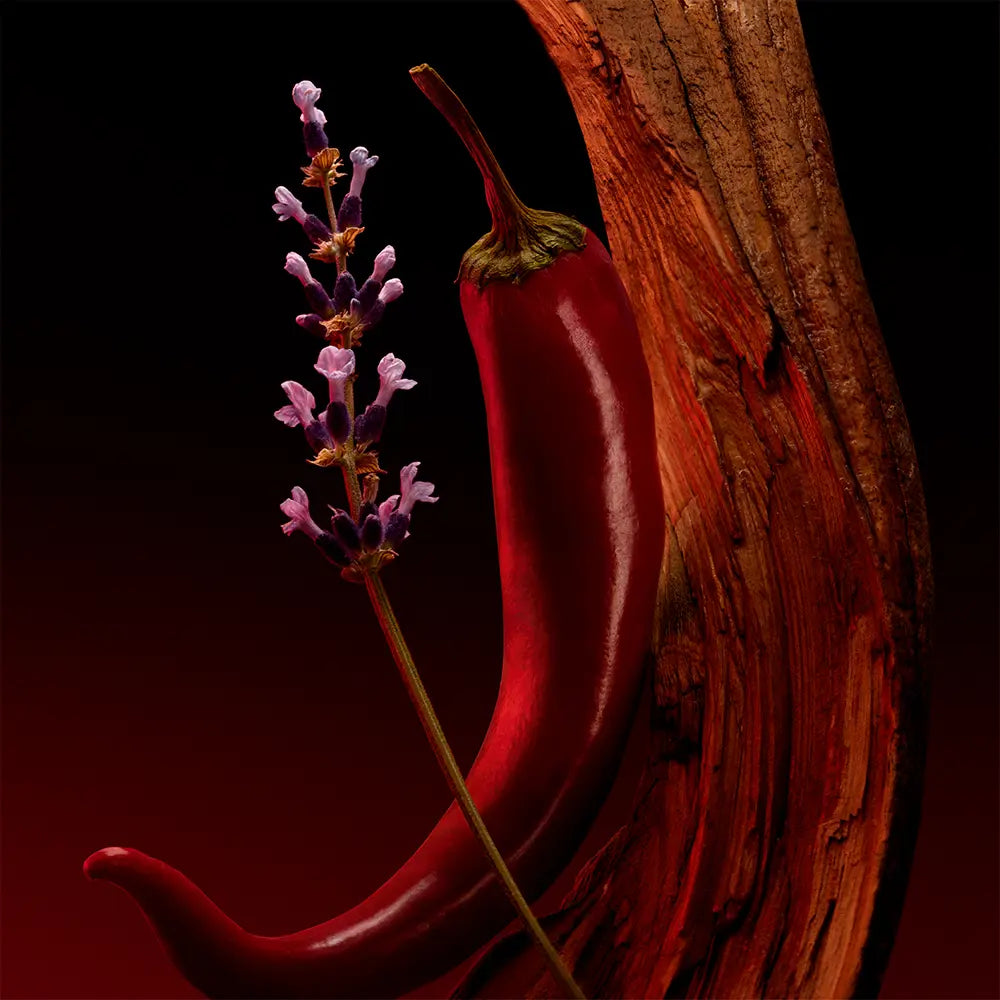 HUGO BOSS-BOSS-THE SCENT FOR HIM ELIXIR eau de parfum vaporisateur 100 ml-DrShampoo - Perfumaria e Cosmética