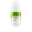 INSTITUTO ESPAÑOL-PELE SAUDÁVEL deo roll-on 75 ml-DrShampoo - Perfumaria e Cosmética