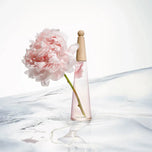 ISSEY MIYAKE-L'EAU D'ISSEY PIVONE edt vapor 50 ml-DrShampoo - Perfumaria e Cosmética