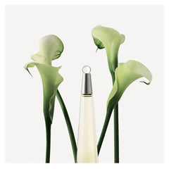 ISSEY MIYAKE-L'EAU D'ISSEY edt spray 100ml-DrShampoo - Perfumaria e Cosmética