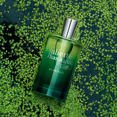 JULIETTE HAS A GUN-EX VETIVER edp vapor 100 ml-DrShampoo - Perfumaria e Cosmética