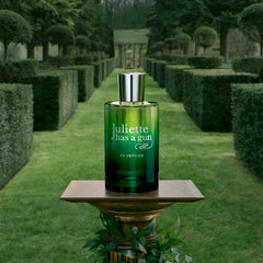 JULIETTE HAS A GUN-EX VETIVER edp vapor 100 ml-DrShampoo - Perfumaria e Cosmética