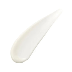 KANEBO-SENSAI ABSOLUTE fluido de seda 80 ml-DrShampoo - Perfumaria e Cosmética