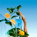 KENZO-L'EAU KENZO POUR HOMME edt vapo 100 ml-DrShampoo - Perfumaria e Cosmética