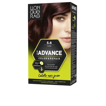 LLONGUERAS-COLOR ADVANCE 56 mogno-DrShampoo - Perfumaria e Cosmética Main image
