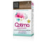LLONGUERAS-OPTIMA cor de cabelo 8 loiro claro-DrShampoo - Perfumaria e Cosmética