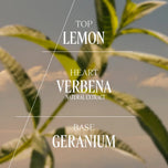 L'OCCITANE EN PROVENCE-Gel de banho VERVEINE 500 ml-DrShampoo - Perfumaria e Cosmética