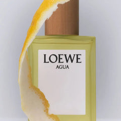 LOEWE-CONJUNTO DE 3 PEÇAS LOEWE WATER CASE-DrShampoo - Perfumaria e Cosmética