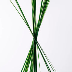 LOEWE-Caixa de Presente LOEWE Essence EDT 100ml 3 un.-DrShampoo - Perfumaria e Cosmética