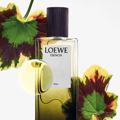 LOEWE-ESSÊNCIA DE ELIXIR edp vaporizador 100 ml-DrShampoo - Perfumaria e Cosmética