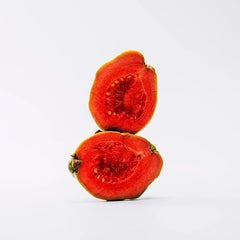 LOEWE-Estojo LOEWE ONLY 3 peças.-DrShampoo - Perfumaria e Cosmética