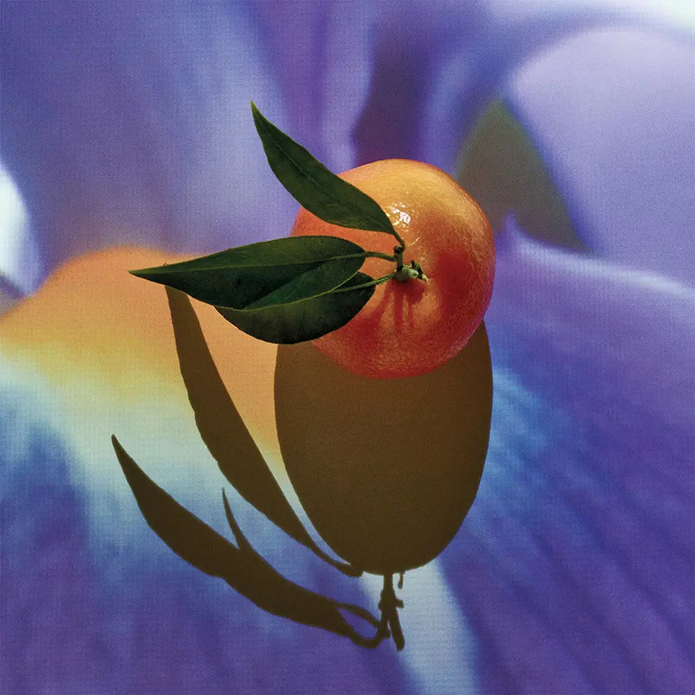 LOEWE-SOLO ELIXIR eau de parfum spray 50 ml-DrShampoo - Perfumaria e Cosmética