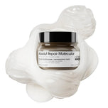 L'ORÉAL PROFESSIONNEL PARIS-Máscara ABSOLUT REPAIR MOLECULAR para cabelos danificados 250 ml-DrShampoo - Perfumaria e Cosmética