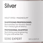 L'ORÉAL PROFESSIONNEL PARIS-Shampoo Prata 500 ml-DrShampoo - Perfumaria e Cosmética