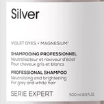 L'ORÉAL PROFESSIONNEL PARIS-Shampoo Prata 500 ml-DrShampoo - Perfumaria e Cosmética