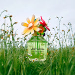 MARC JACOBS-DAISY WILD EAU SO INTENSE edp vapo 50 ml-DrShampoo - Perfumaria e Cosmética