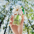 MARC JACOBS-DAISY WILD edp vapo 50 ml.-DrShampoo - Perfumaria e Cosmética
