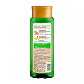 ECO PURIFYING champô de gengibre e limão 300 ml Imagem secundária do produto