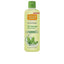 NATURAL HONEY-Água de colónia GREEN TEA 700 ml.-DrShampoo - Perfumaria e Cosmética