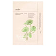 PROBIÓTICOS & ÁGUA DE CICA máscara calmante 25 ml