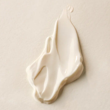 PLANTSCRIPTION poderoso creme reafirmante 50 ml Imagem secundária do produto