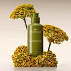 ORIGINS-Soro corretor de rugas PLANTSCRIPTION 50 ml-DrShampoo - Perfumaria e Cosmética