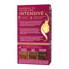 PALETTE-PALETTE INTENSIVE tinta 777 Ultra Radiant Copper 1 unidade.-DrShampoo - Perfumaria e Cosmética