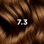 PHYTO-PHYTOCOLOR 73 ouro louro-DrShampoo - Perfumaria e Cosmética