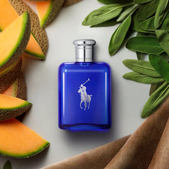 RALPH LAUREN-POLO BLUE-DrShampoo - Perfumaria e Cosmética