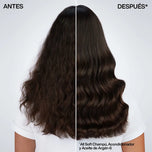 REDKEN-Óleo de argan ALL SOFT-6 100 ml-DrShampoo - Perfumaria e Cosmética